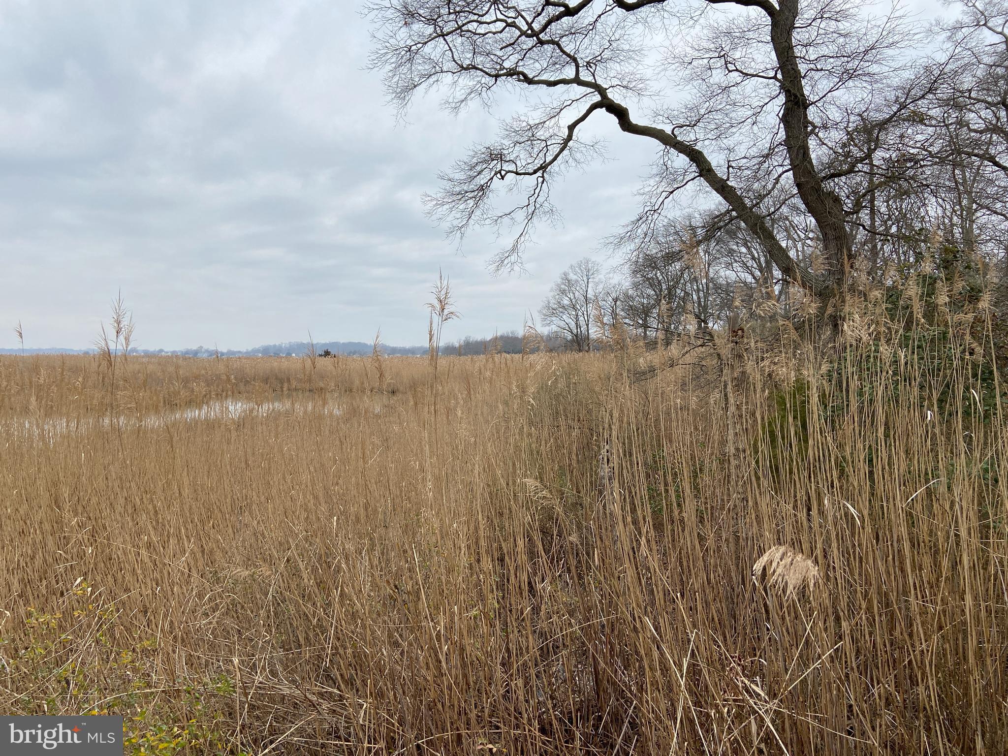 3448 Hidden River View Road Annapolis, MD 21403 - Photo 7 of 15