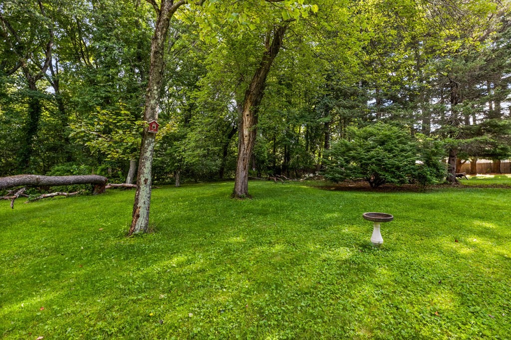 38 Woodmere Road Framingham, MA 01701 - Photo 7 of 18 Gallery Image 7