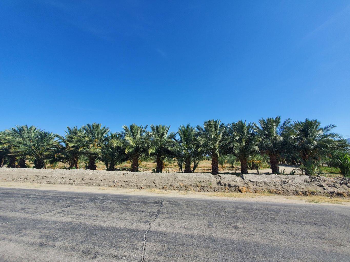 0 Calhoun Street Coachella, CA 92236 - Photo 6 of 8 a view of road with palm trees