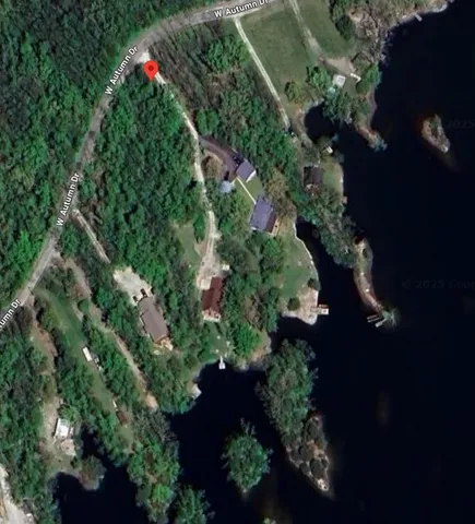 a view of a yard with a tree