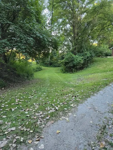 a view of a field with trees in background