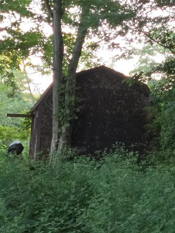a view of a big yard with a tree