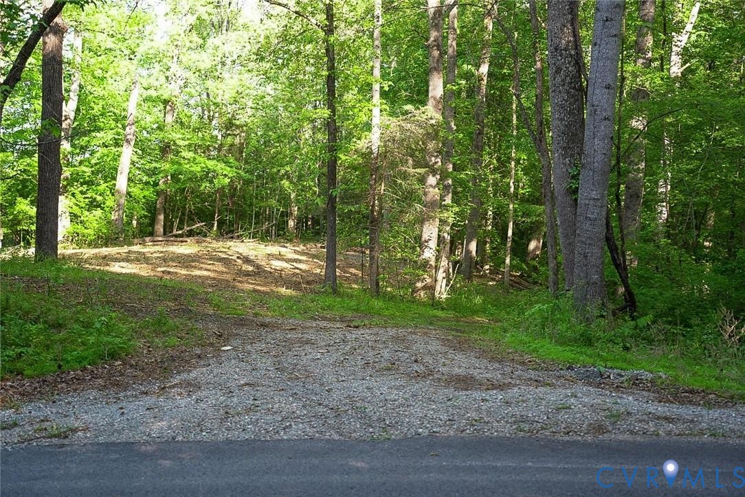 176 Ampthill Road Cartersville, VA 23027 - Photo 8 of 25 a view of outdoor space with trees