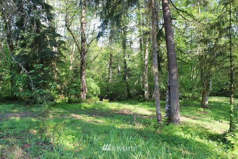 133 Smith Road Winlock, WA 98596 - Photo 23 of 25 Gallery Image 23