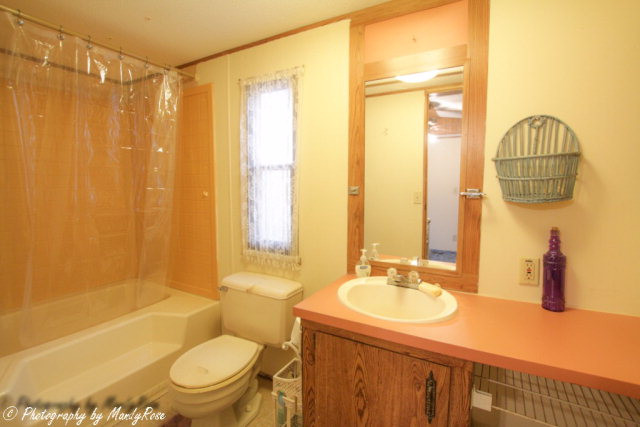 820 North Windsor Road Williston, SC 29853 - Photo 33 of 36 Gallery Image 33