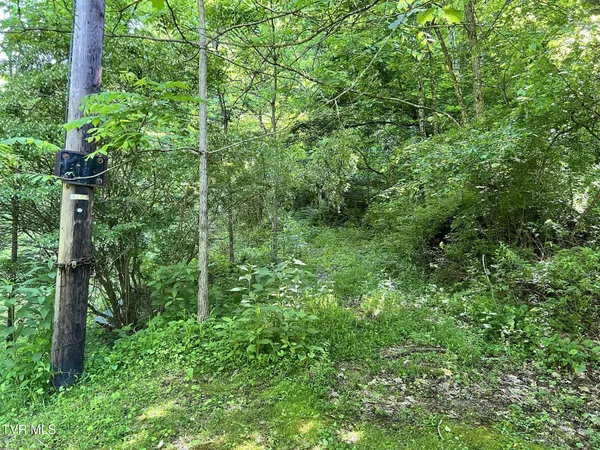$39,900 | 7576 Wells Adams Road, Norton, VA 24273