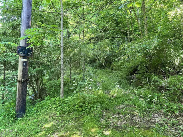 $39,900 | 7576 Wells Adams Road, Norton, VA 24273