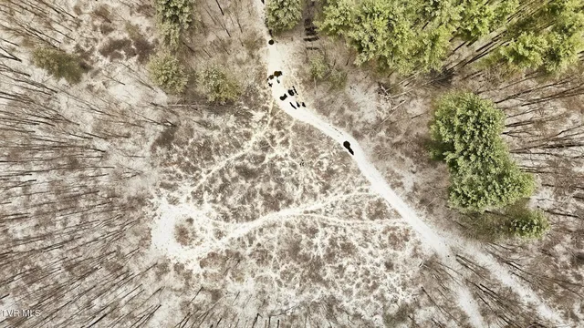 $39,900 | 7576 Wells Adams Road, Norton, VA 24273