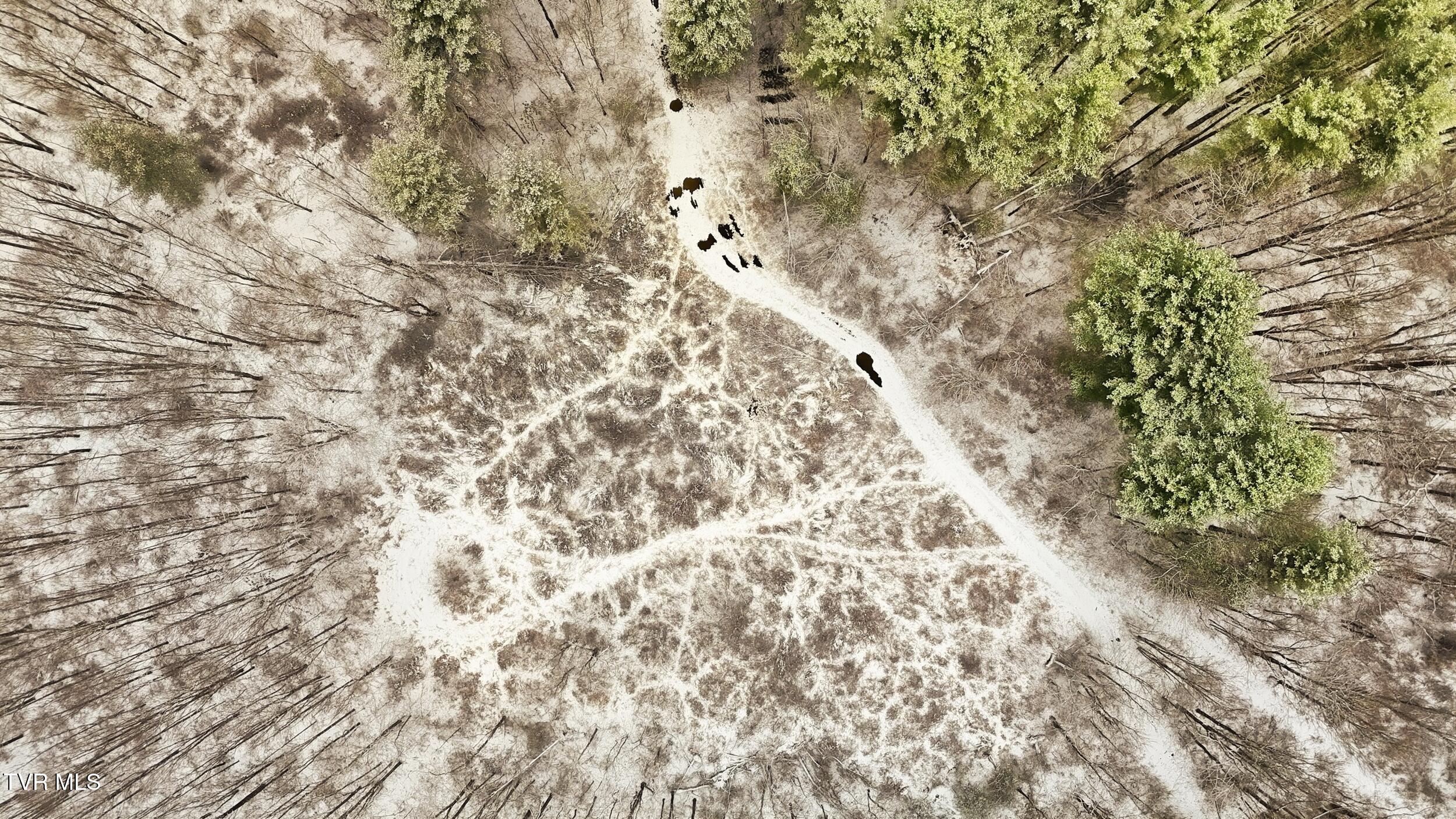 7576 Wells Adams Road Norton, VA 24273 - Photo 12 of 19 dsfg45g543g4