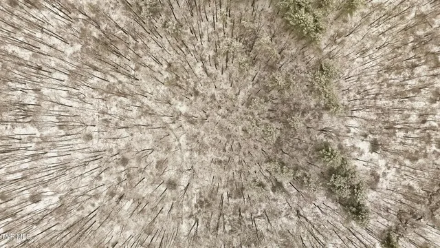 $39,900 | 7576 Wells Adams Road, Norton, VA 24273