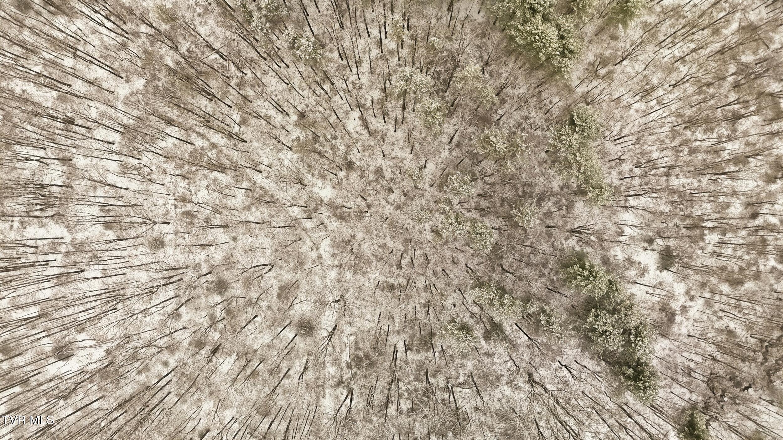 7576 Wells Adams Road Norton, VA 24273 - Photo 13 of 19 eg34g35g45