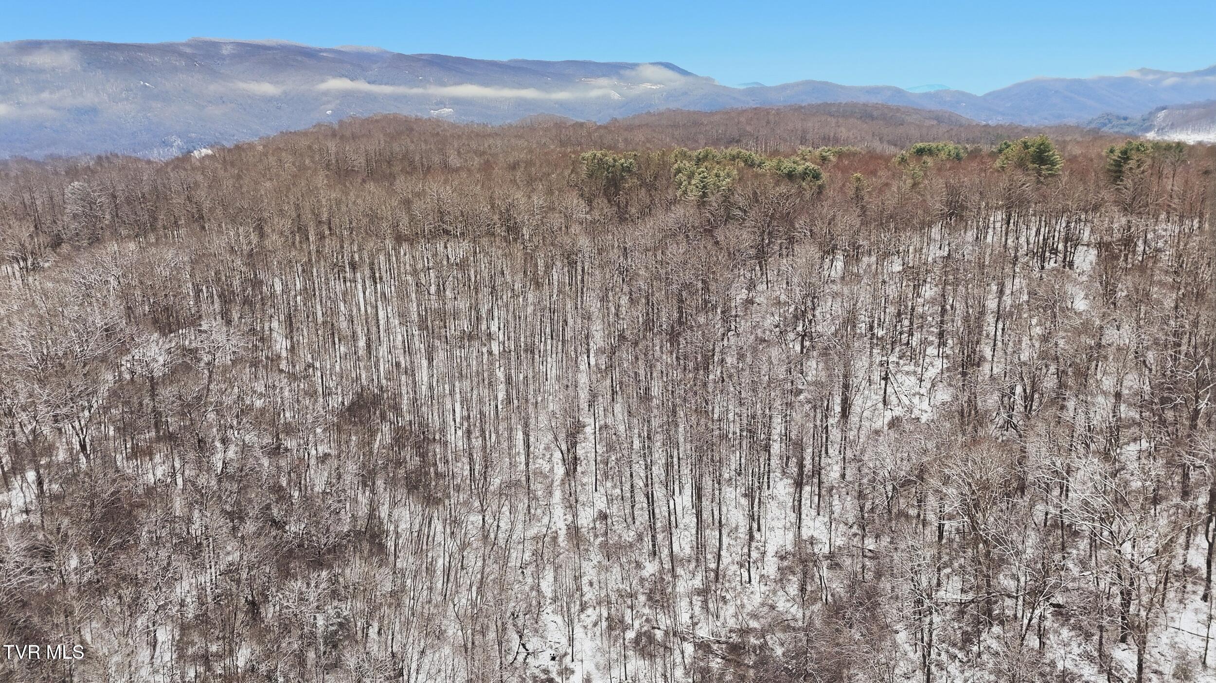 7576 Wells Adams Road Norton, VA 24273 - Photo 14 of 19 fg43gr345g45