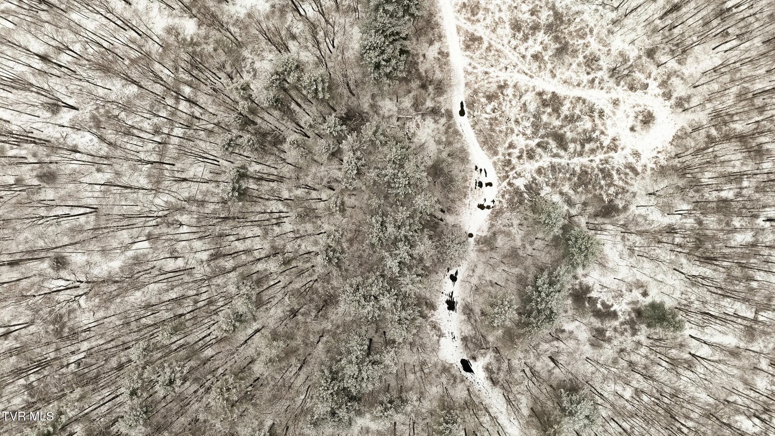 7576 Wells Adams Road Norton, VA 24273 - Photo 17 of 19 gewrg4ertge4