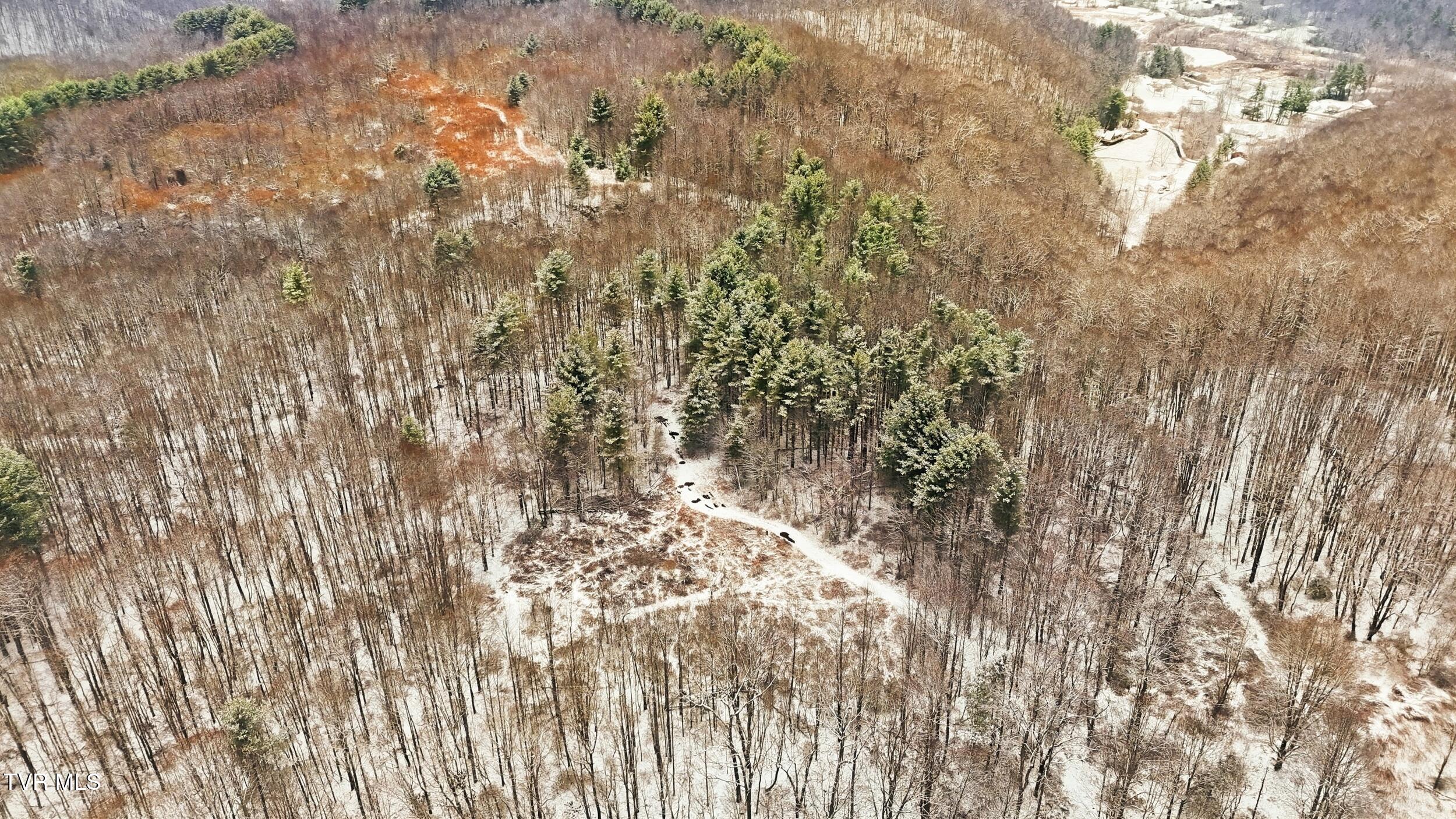 7576 Wells Adams Road Norton, VA 24273 - Photo 18 of 19 reg4545g