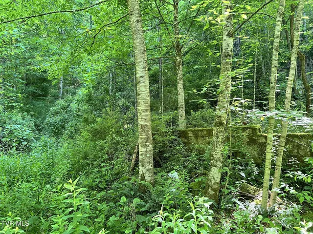 $39,900 | 7576 Wells Adams Road, Norton, VA 24273