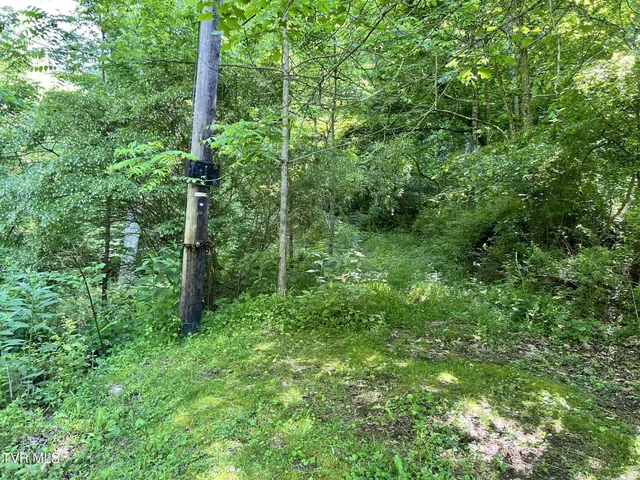 $39,900 | 7576 Wells Adams Road, Norton, VA 24273