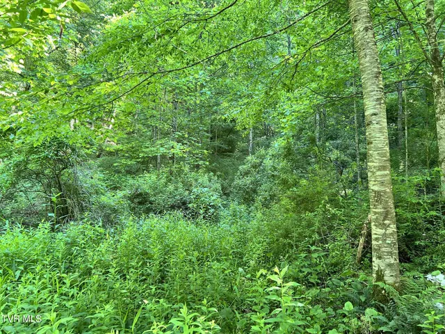 $39,900 | 7576 Wells Adams Road, Norton, VA 24273