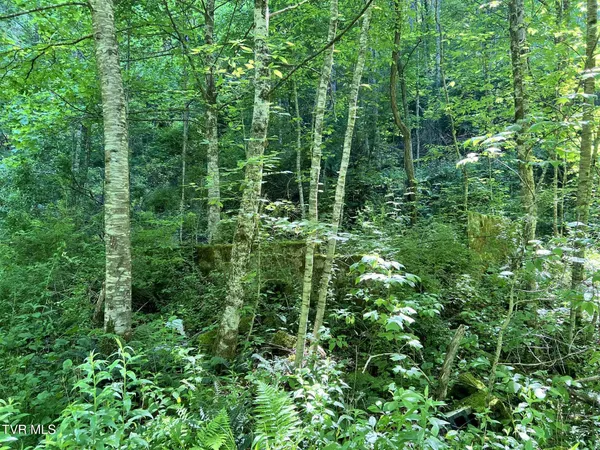 $39,900 | 7576 Wells Adams Road, Norton, VA 24273