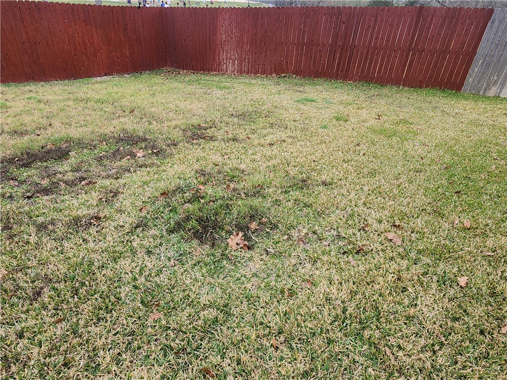 4015 Dunlap Loop College Station, TX 77845 - Photo 34 of 40 a view of backyard with tub