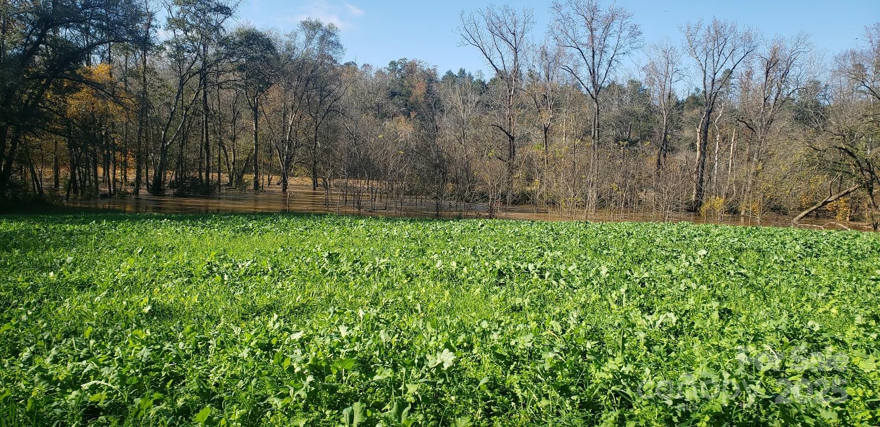 5690 Rocky Mt Church Road Polkton, NC 28135 - Photo 19 of 38