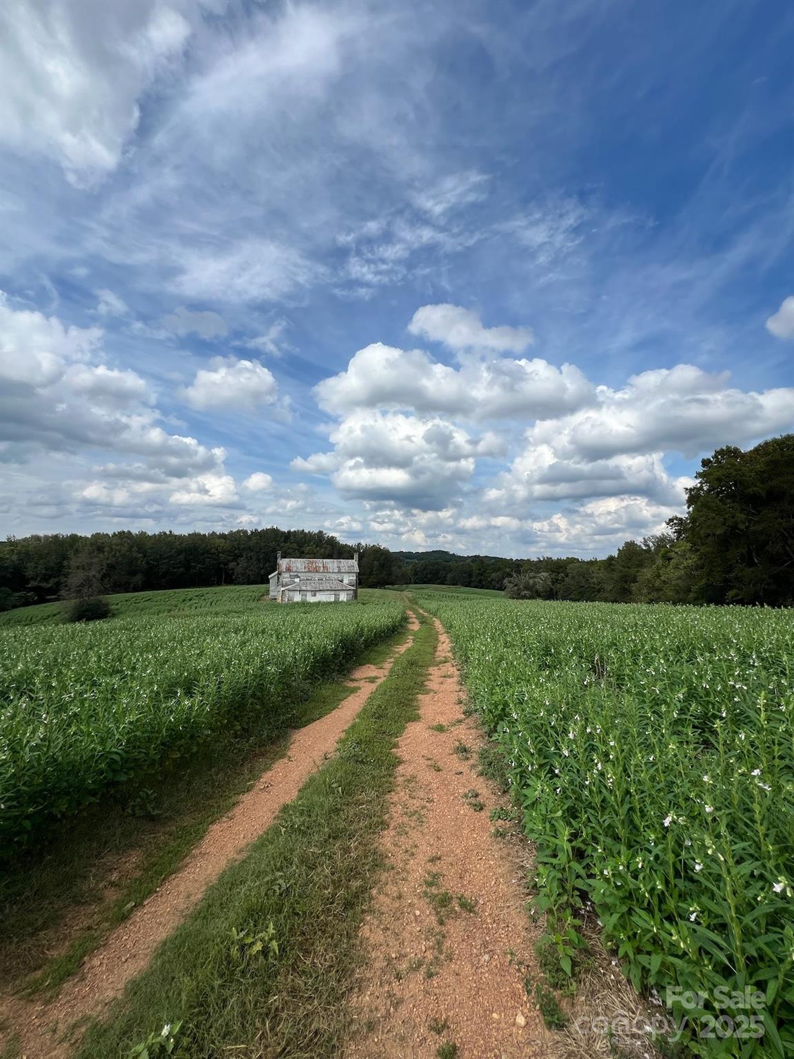 5690 Rocky Mt Church Road Polkton, NC 28135 - Photo 20 of 38