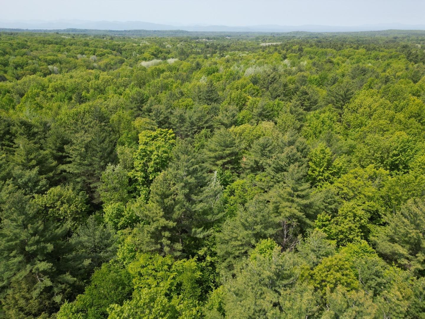 1745 Roosevelt Highway Colchester, VT 05446 - Photo 27 of 29