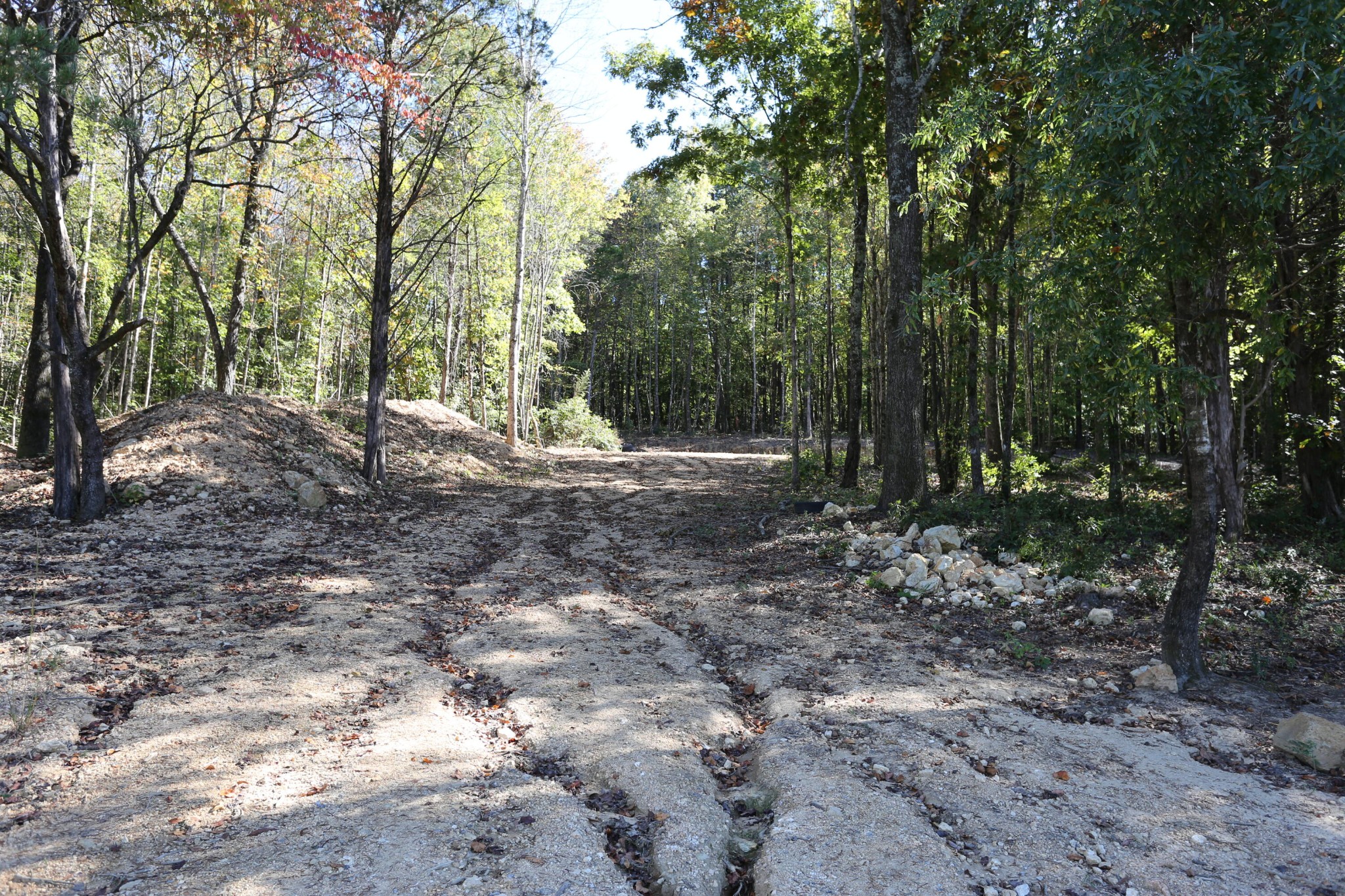 26954 Rhea County Highway Spring City, TN 37381 - Photo 10 of 13