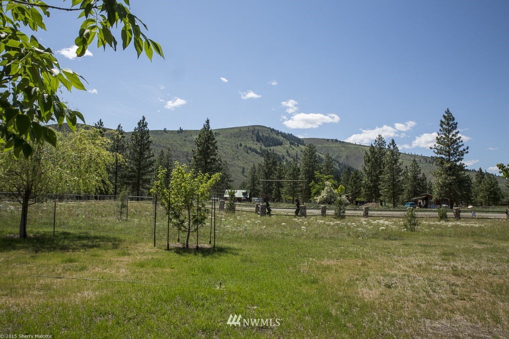 47 Star Flower Road Winthrop, WA 98862 - Photo 4 of 11 Gallery Image 4