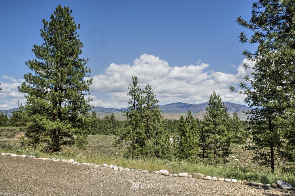 47 Star Flower Road Winthrop, WA 98862 - Photo 5 of 11 Gallery Image 5