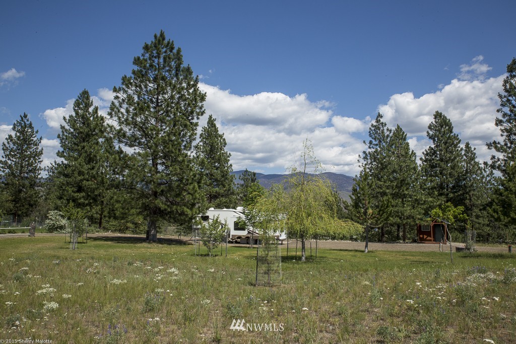 47 Star Flower Road Winthrop, WA 98862 - Photo 10 of 11 Gallery Image 10