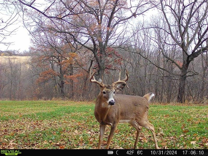 0 Domino Road Volga, IA 52077 - Photo 19 of 30 Gallery Image 19