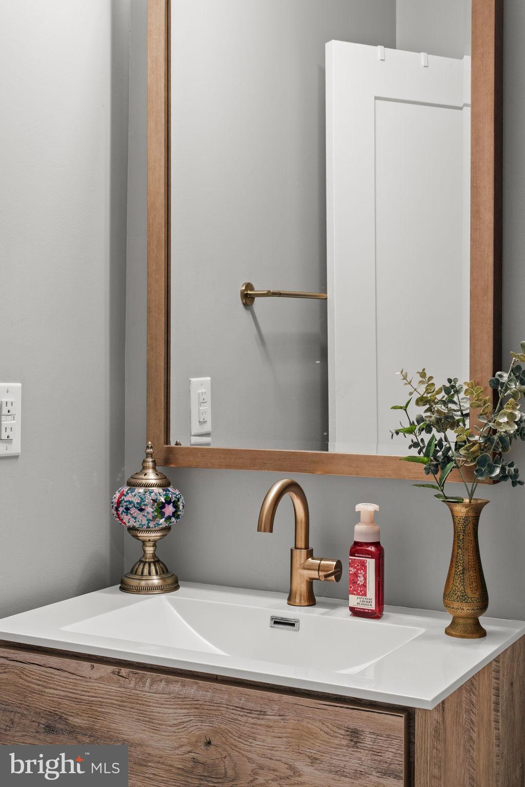 2932 Nicholas Street Philadelphia, PA 19121 - Photo 26 of 65 a bathroom with a potted plant