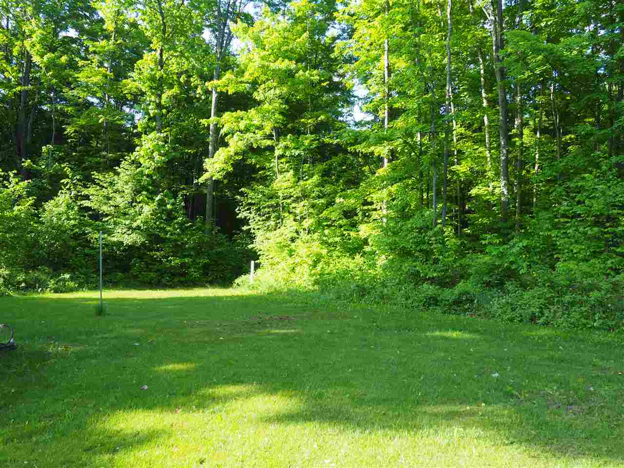 5255 South Snyder Road Southwest Fife Lake, MI 49633 - Photo 5 of 31 1862619-4.JPG