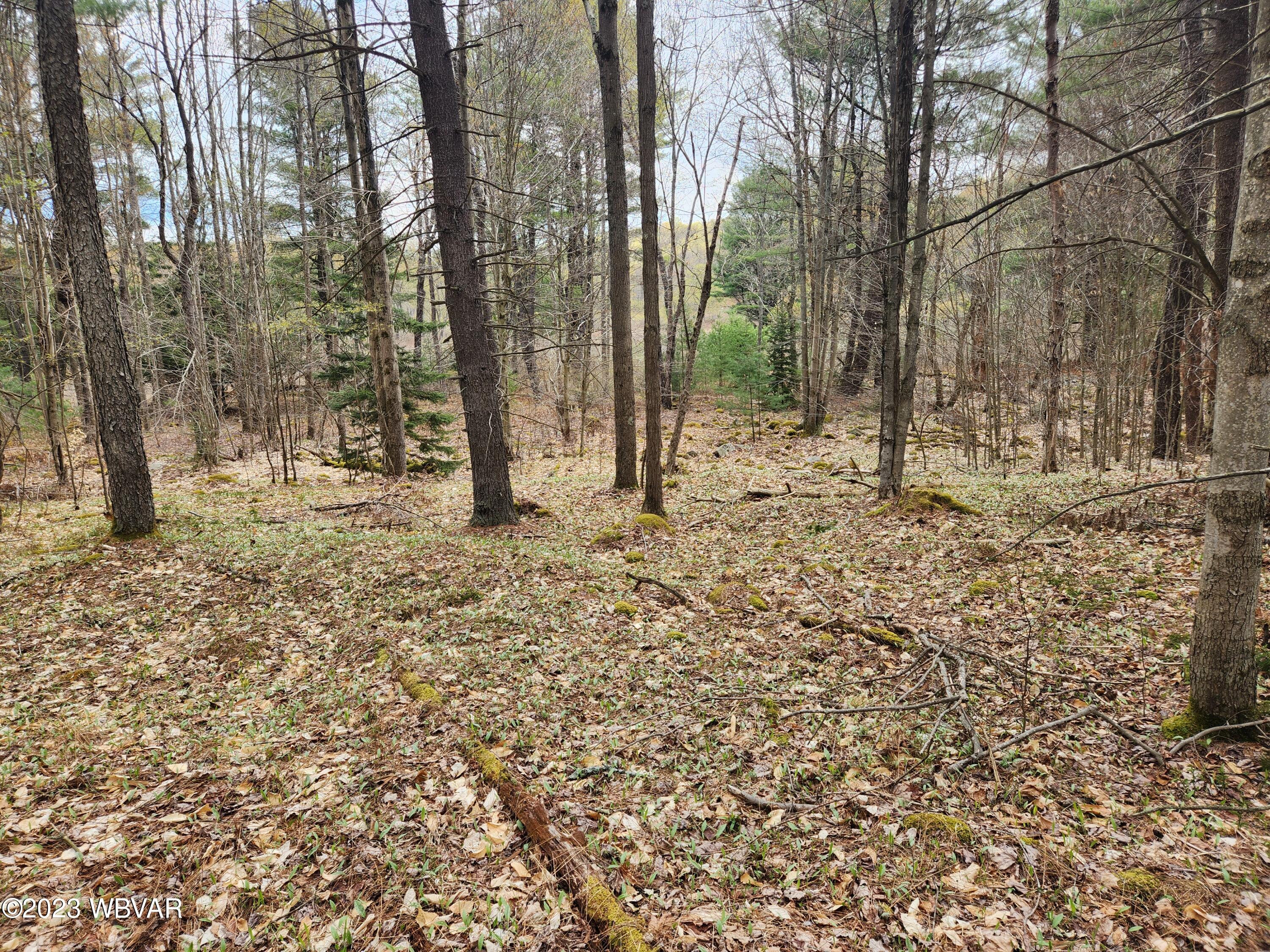 4844 Dutch Mountain Road Dushore, PA 18614 - Photo 41 of 44 Gallery Image 41