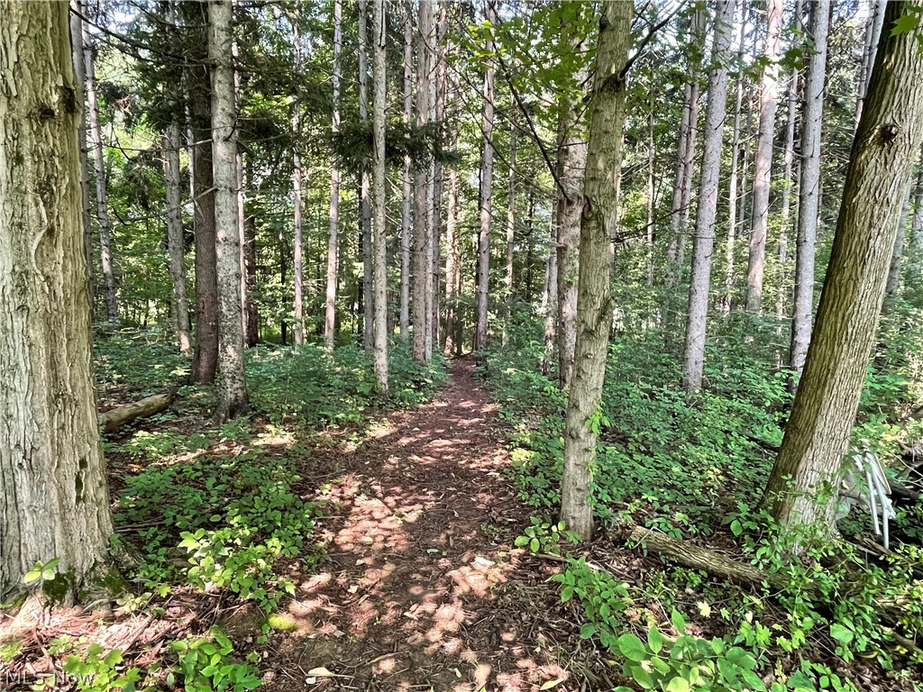3579 Southern Road Richfield, OH 44286 - Photo 21 of 21 Path to Eastwood Preserve