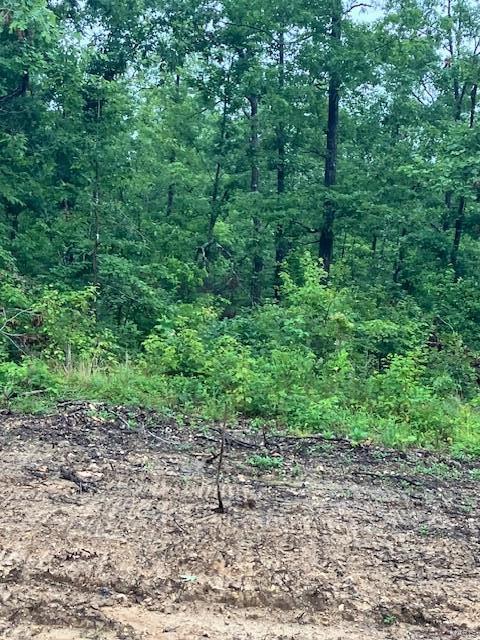 75 Madison Cr Fredericktown, MO 63645 - Photo 2 of 7