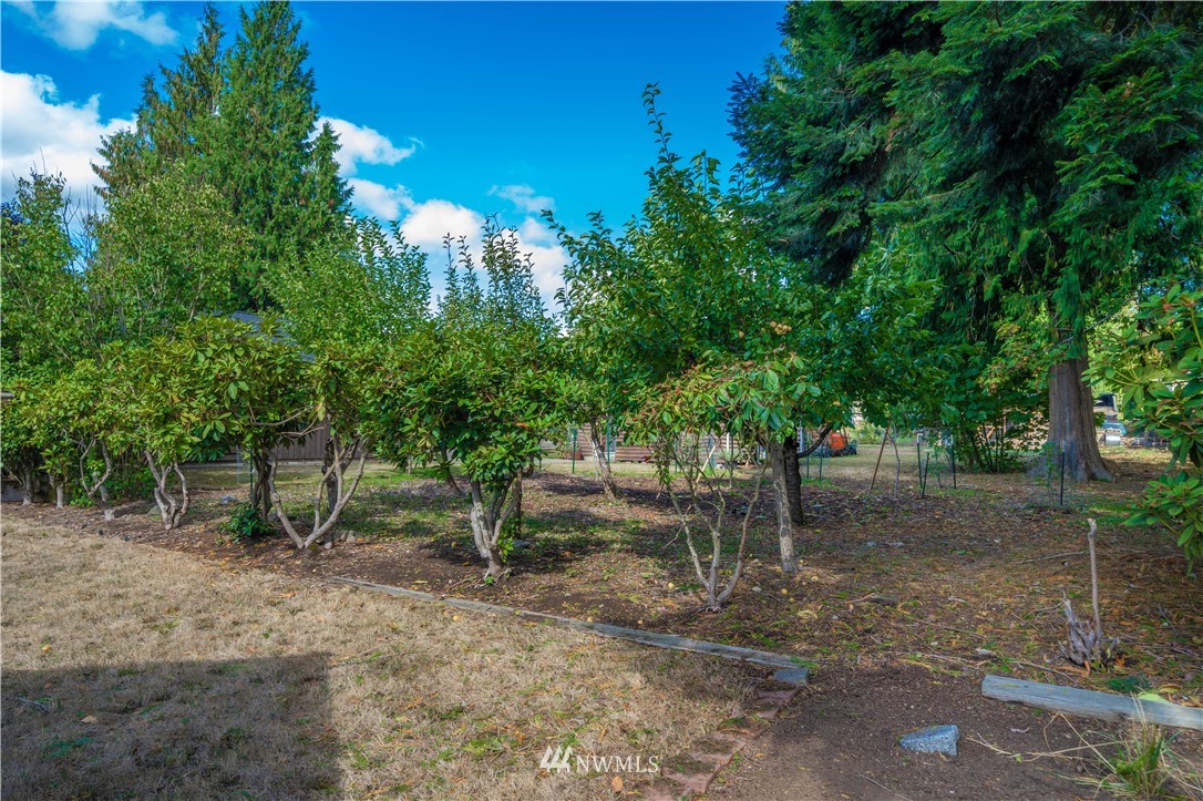 18003 Rhodes Lake Road East Bonney Lake, WA 98391 - Photo 31 of 40 a view of a forest