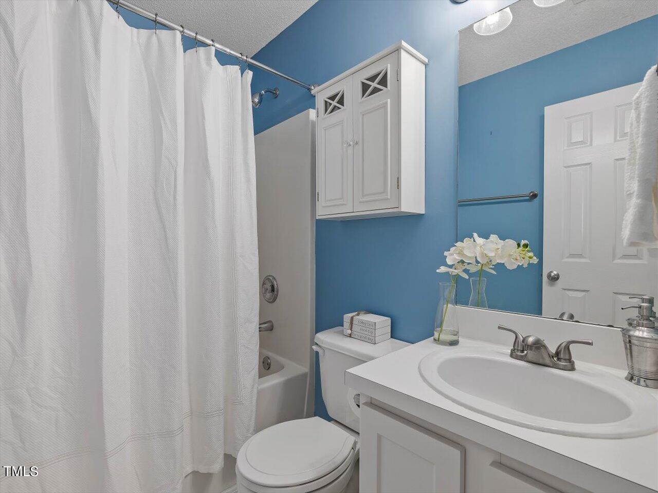 4509 Dolwick Drive Durham, NC 27713 - Photo 23 of 31 a bathroom with a sink a toilet and a mirror