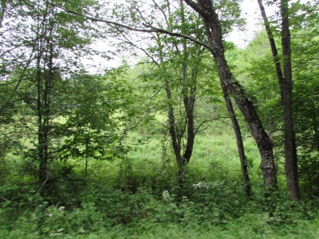 Tbd Flat Ridge Road Troutdale, VA 24378 - Photo 19 of 26 Gallery Image 19