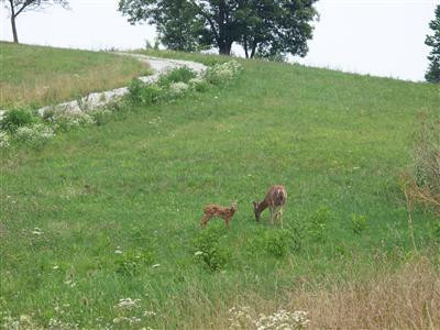 1078 Galloway Road Georgetown, KY 40324 - Photo 8 of 8 Photo 8
