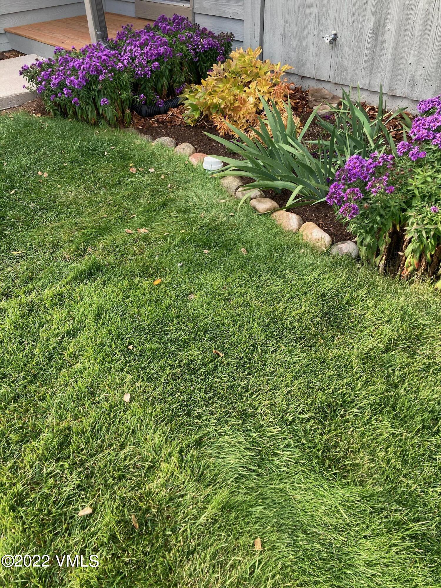 155 Meile Lane Edwards, CO 81632 - Photo 23 of 26 a view of a flower in a garden