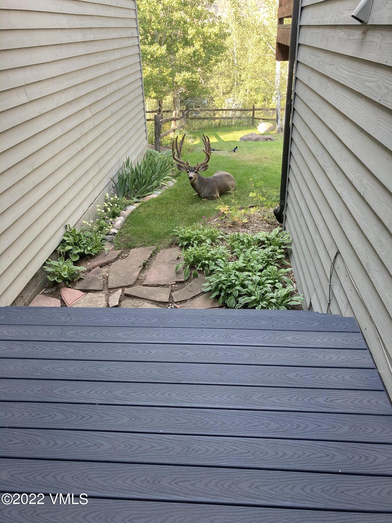 155 Meile Lane Edwards, CO 81632 - Photo 26 of 26 a potted plant sitting on a wooden floor