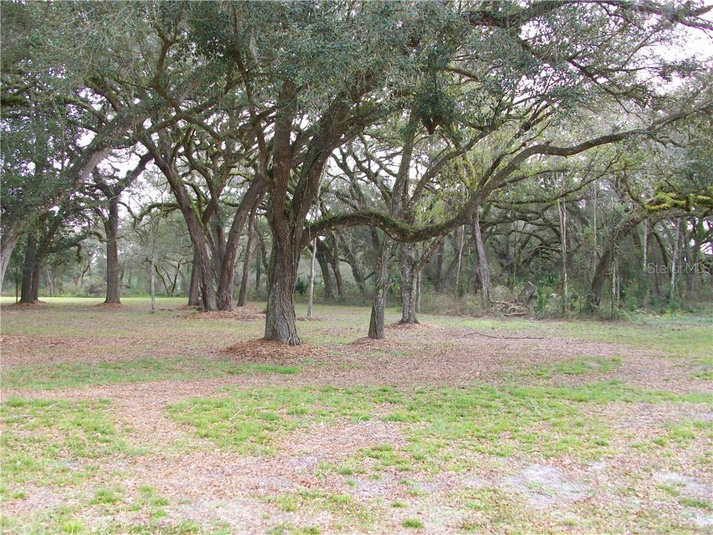 654 Cr Bushnell Bushnell, FL 33513 - Photo 1 of 1 a fire hydrant in the middle of a field