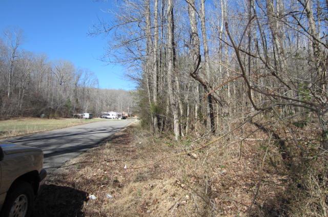 0 Old Linden Road Waverly, TN 37185 - Photo 3 of 4 Gallery Image 3