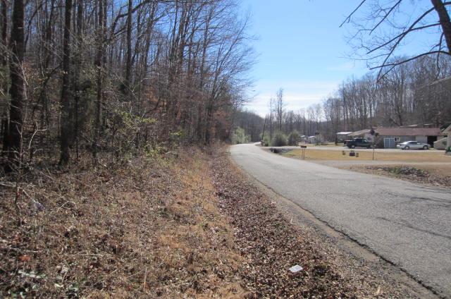 0 Old Linden Road Waverly, TN 37185 - Photo 4 of 4 Gallery Image 4