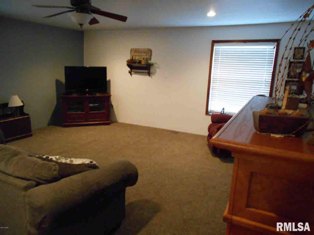 3252 Blue Mound Road Flora, IL 62839 - Photo 5 of 13