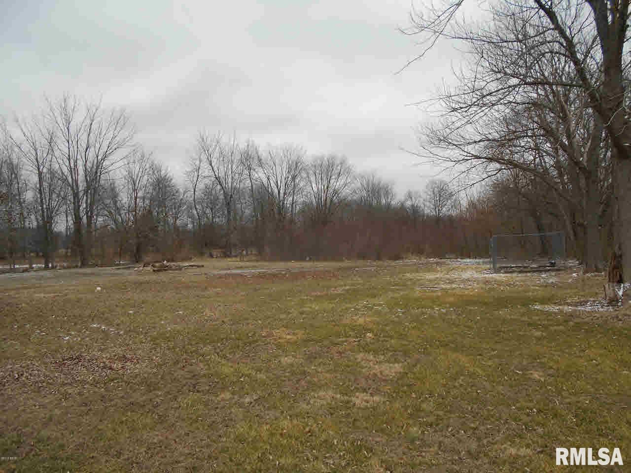3252 Blue Mound Road Flora, IL 62839 - Photo 10 of 13