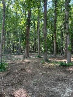46 Davis Road Hiram, GA 30141 - Photo 12 of 17 a view of outdoor space and green space
