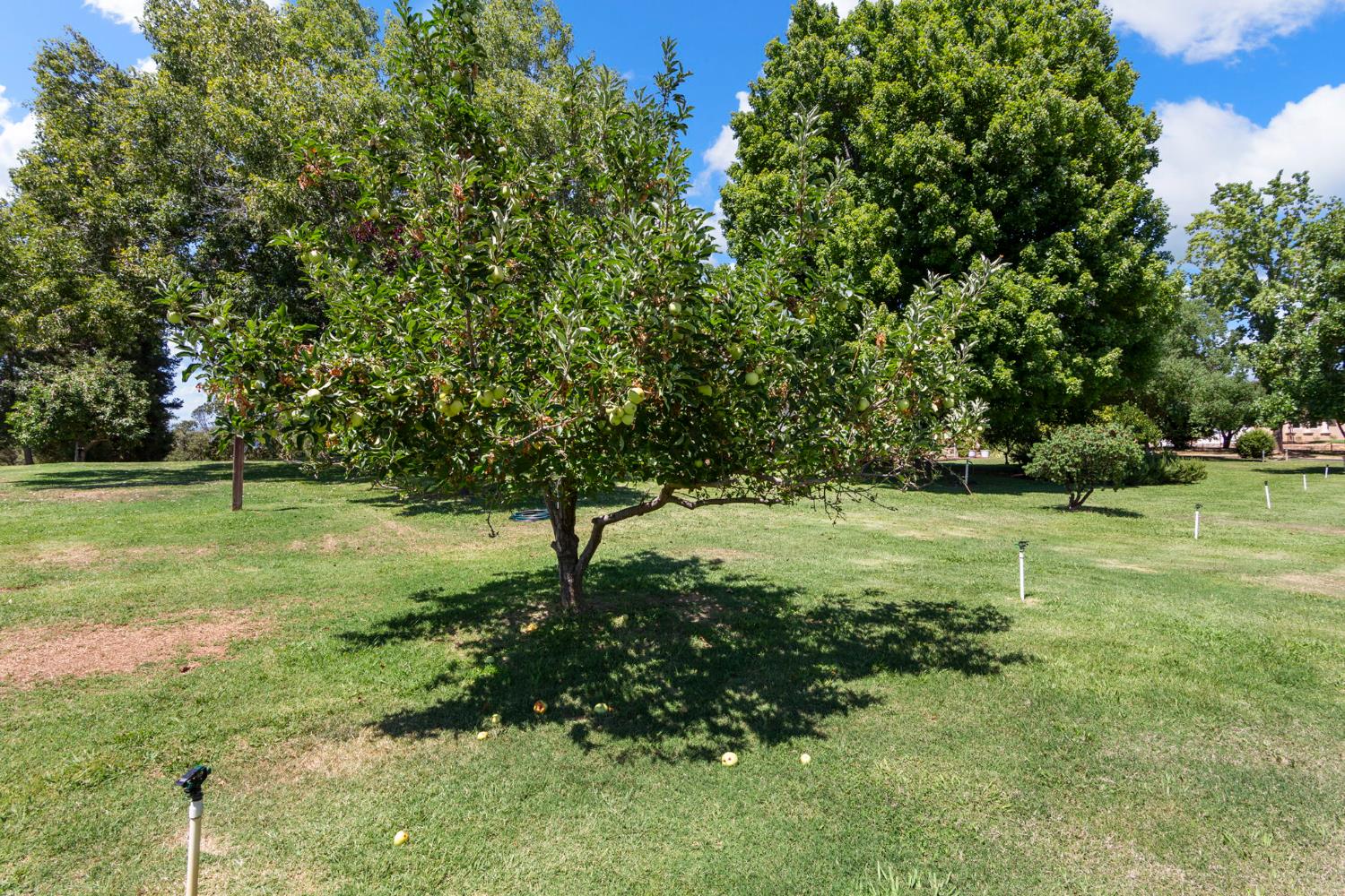 4245 Burnett Road Lincoln, CA 95648 - Photo 64 of 80