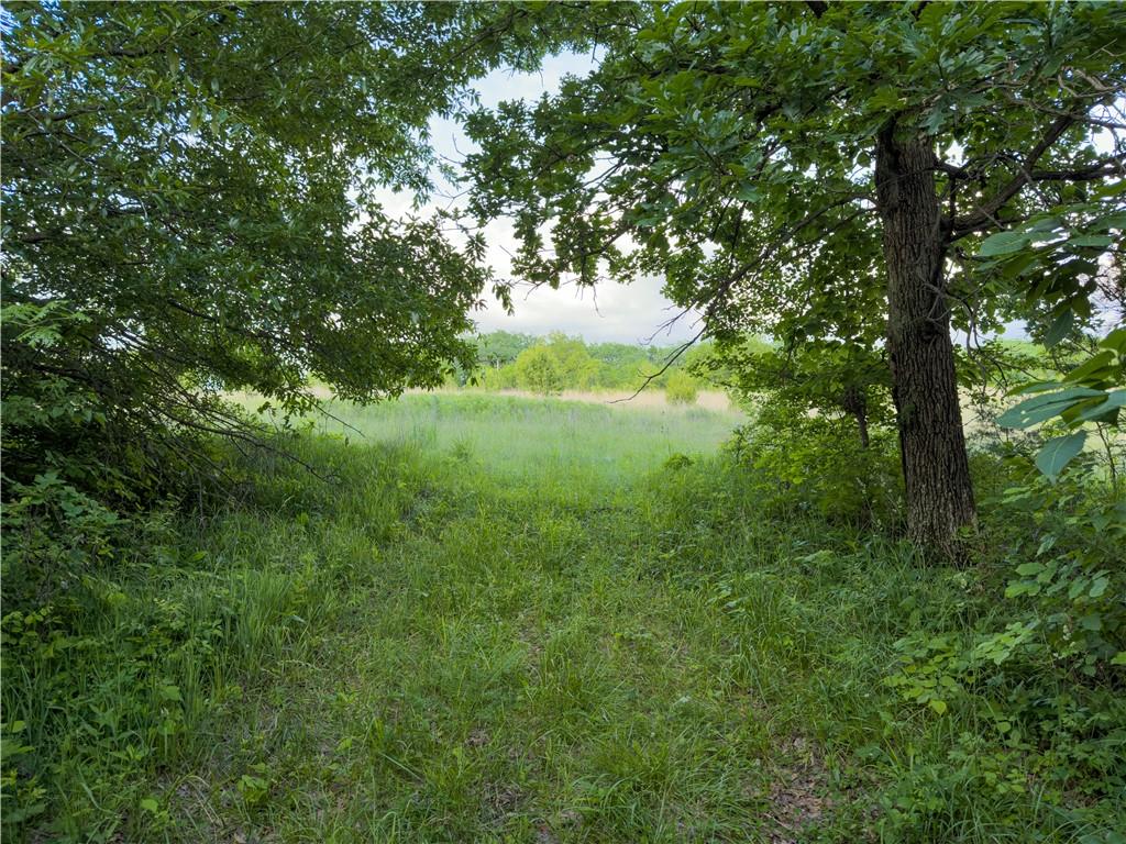 Tbd Rattlesnake Road Polo, MO 64671 - Photo 32 of 32